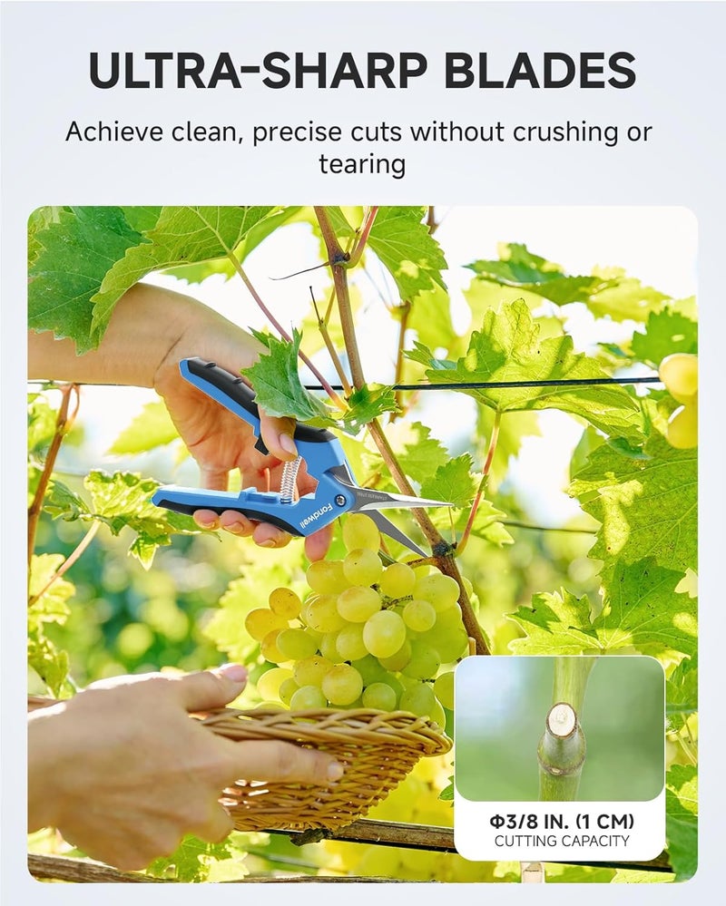 Fondwell 6.5" Gardening Scissors Trimming Shears: 2 Pack of Trimming Scissors for Buds - Comfortable Hand Pruners with Curved Blades - Image 3